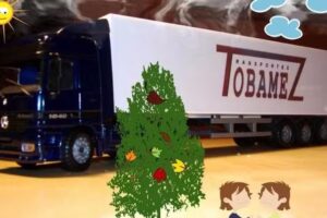 Transportes Tobámez