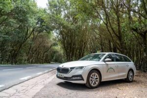 Valle Gran Rey taxi.com