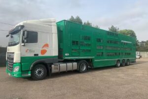 Villa de Bienservida, S.L.U.