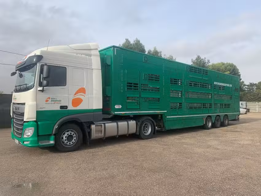 Villa de Bienservida, S.L.U.