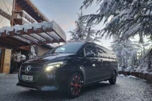 Viptransfercostadelsol