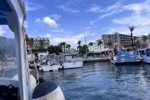 Water taxi -Taxi boat San Antonio Bay